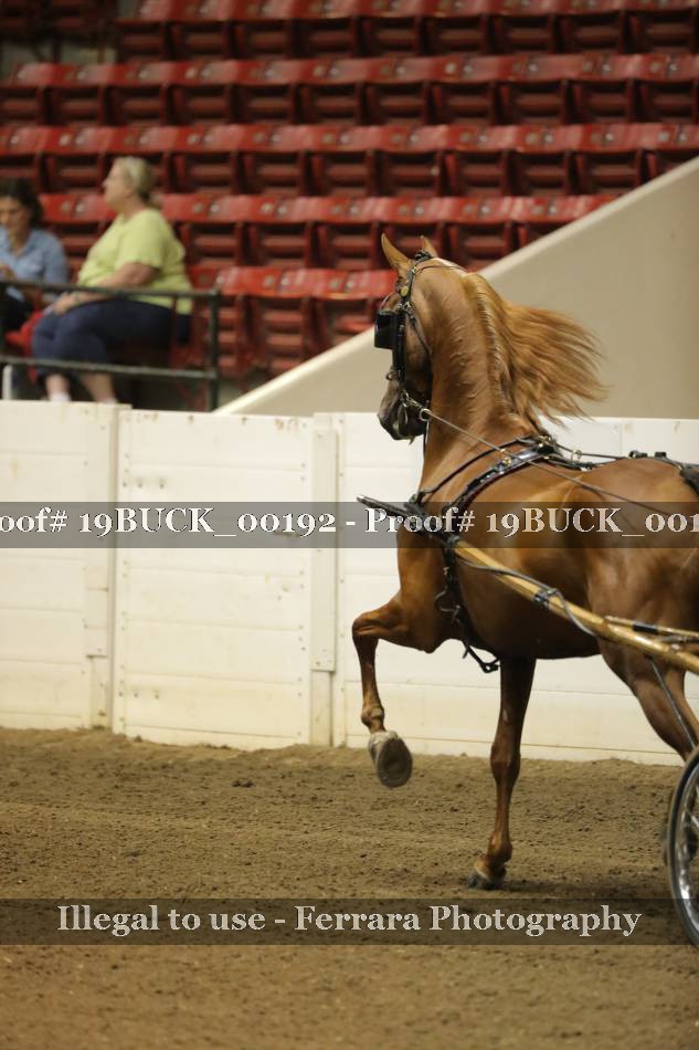 Proof 19BUCK_00192