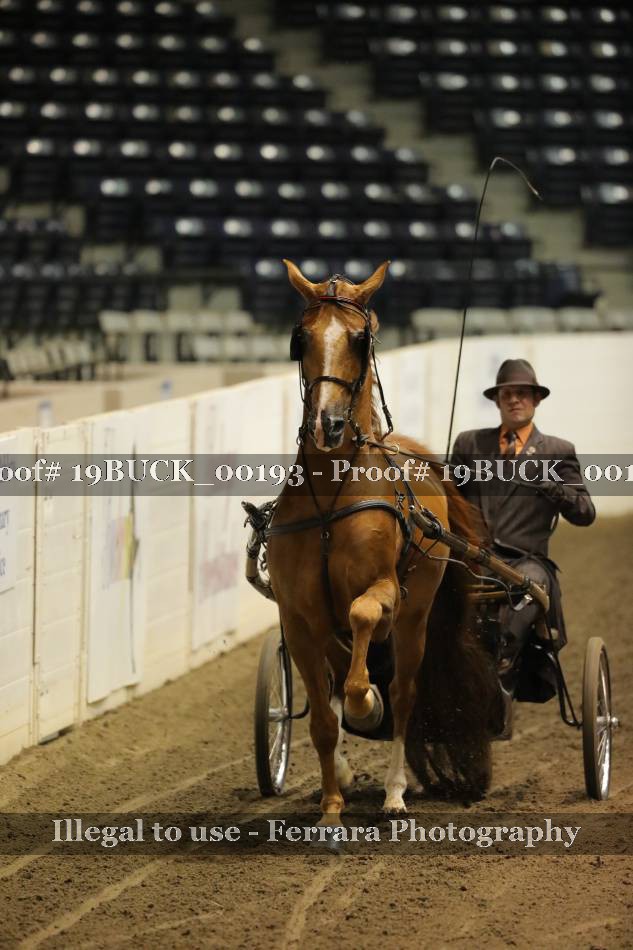 Proof 19BUCK_00193