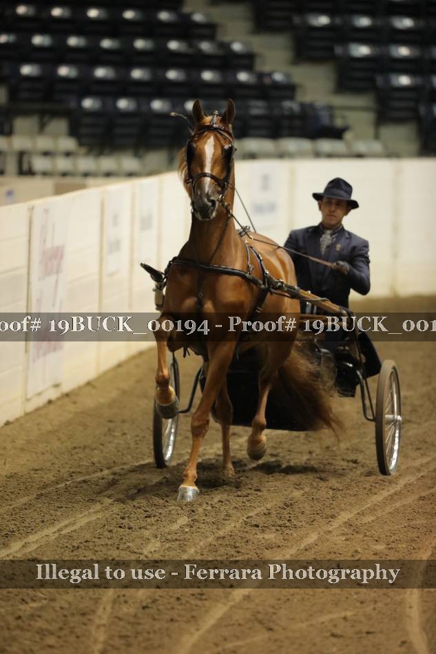 Proof 19BUCK_00194