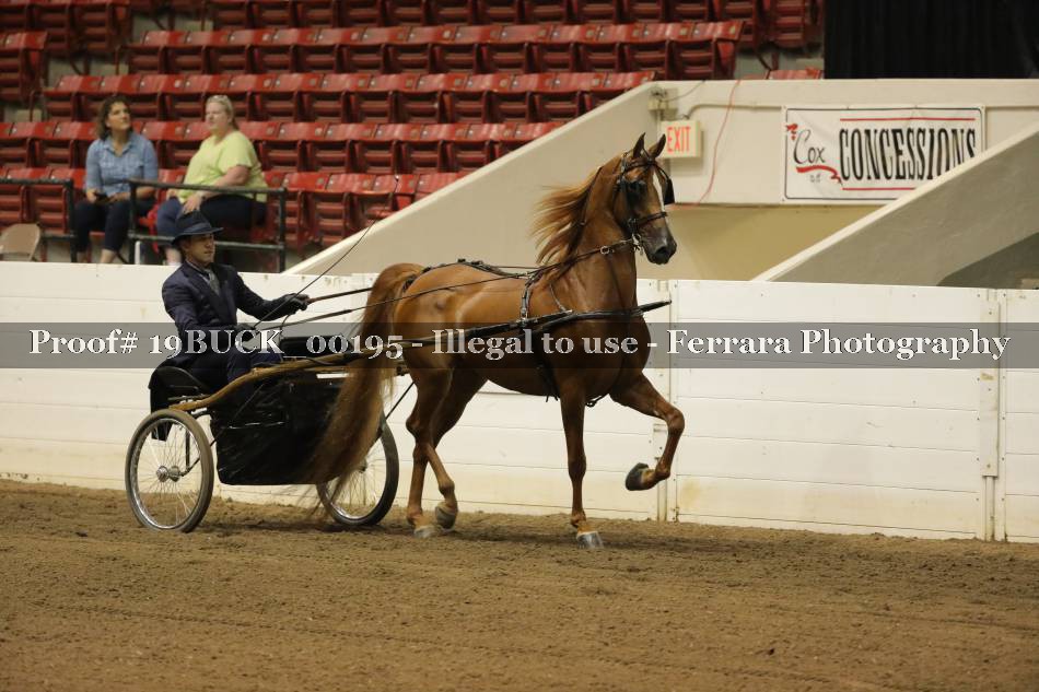 Proof 19BUCK_00195