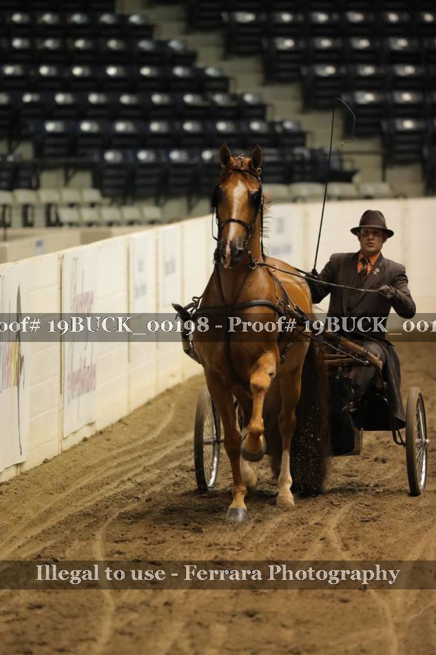 Proof 19BUCK_00198