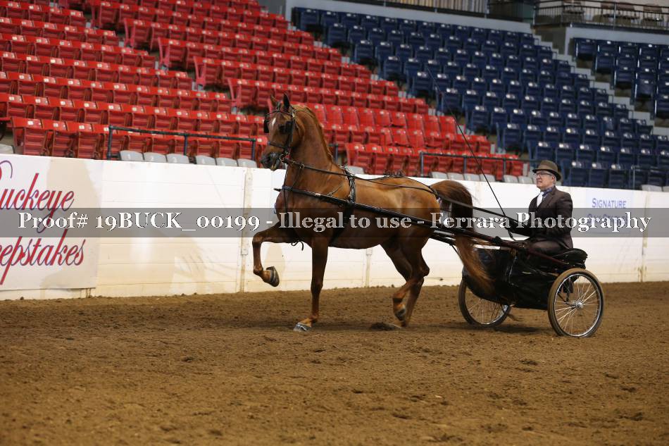 Proof 19BUCK_00199