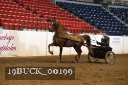 19BUCK_00199 proof