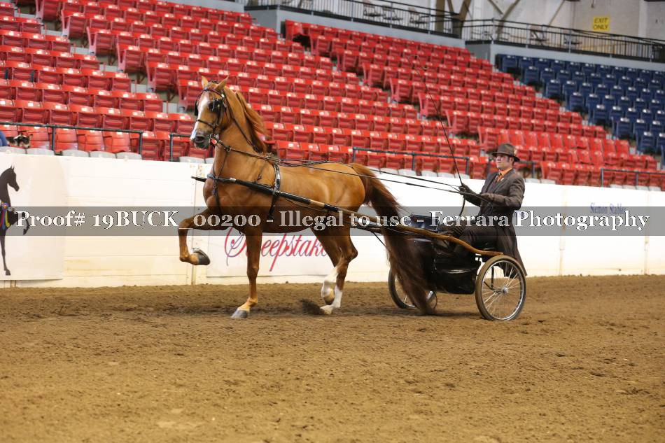 Proof 19BUCK_00200