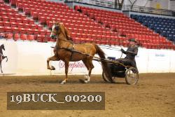 19BUCK_00200 proof