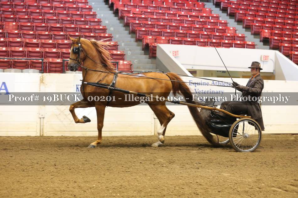 Proof 19BUCK_00201