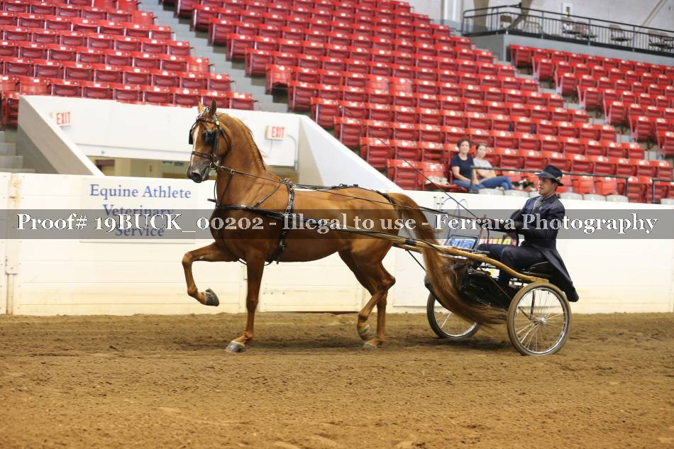 Proof 19BUCK_00202