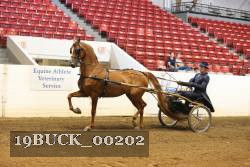 19BUCK_00202 proof