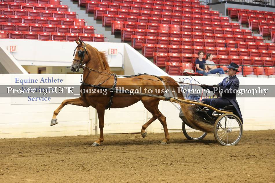 Proof 19BUCK_00203