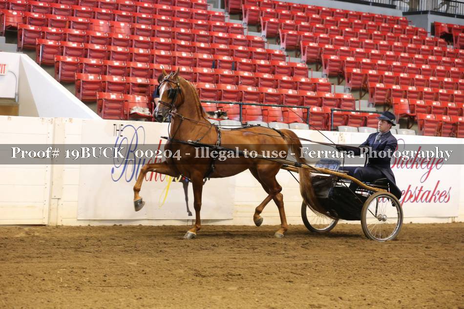 Proof 19BUCK_00204