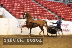 19BUCK_00204 proof