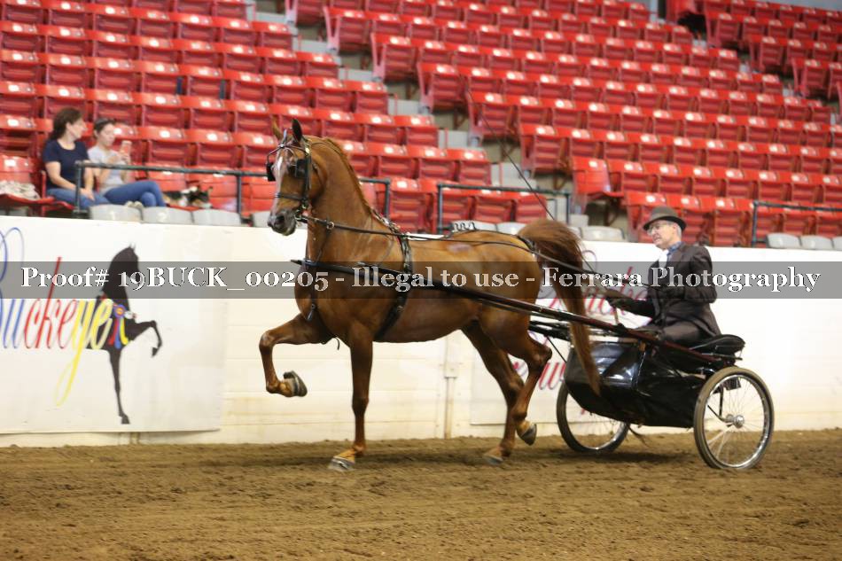 Proof 19BUCK_00205