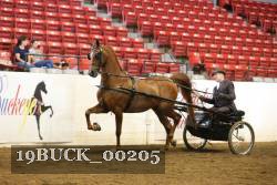 19BUCK_00205 proof