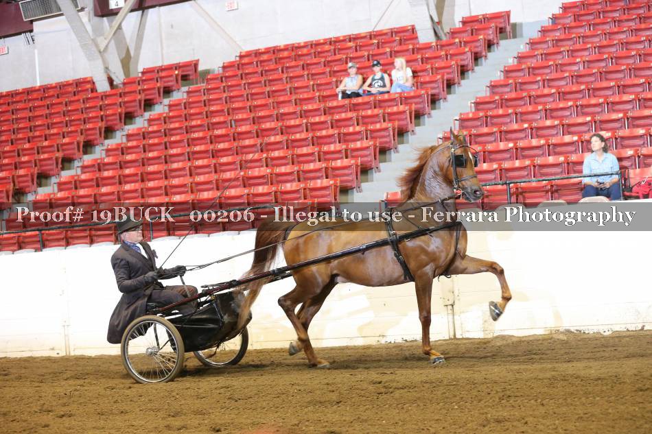 Proof 19BUCK_00206