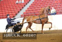 19BUCK_00207 proof