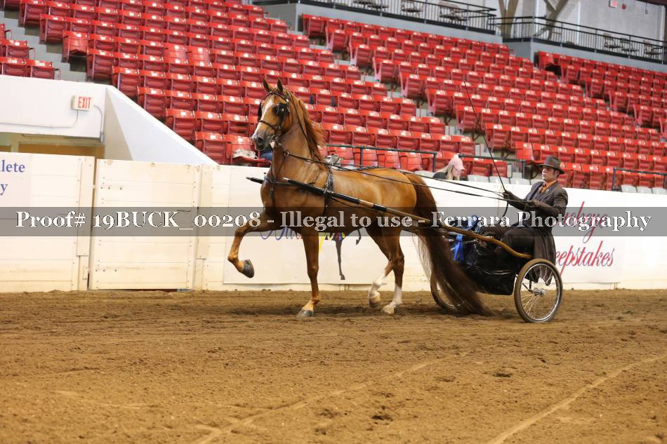 Proof 19BUCK_00208