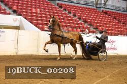 19BUCK_00208 proof