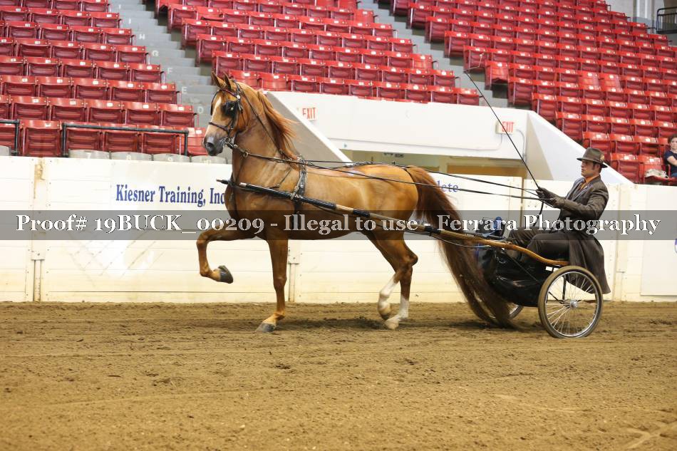 Proof 19BUCK_00209