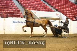 19BUCK_00209 proof