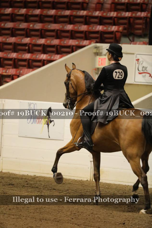 Proof 19BUCK_00210