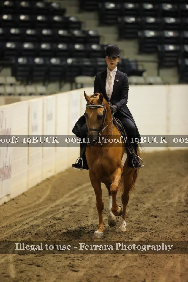 Proof 19BUCK_00211