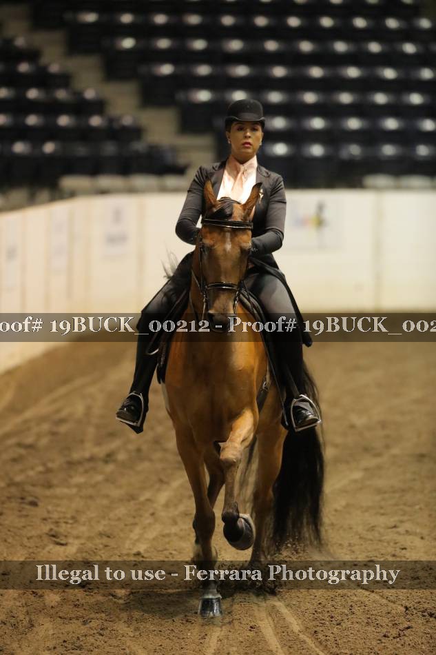 Proof 19BUCK_00212