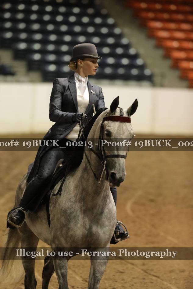 Proof 19BUCK_00213