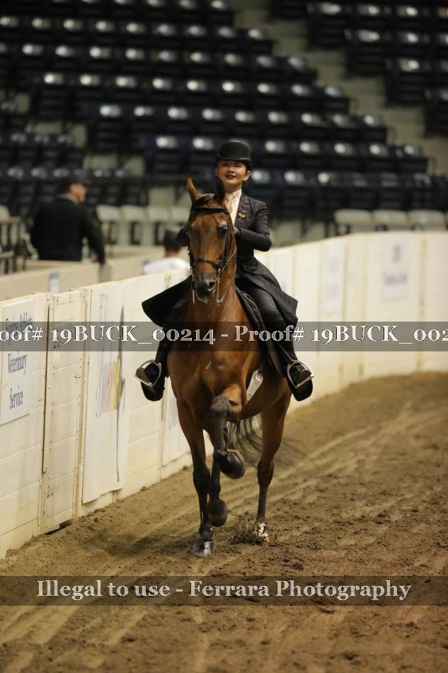 Proof 19BUCK_00214