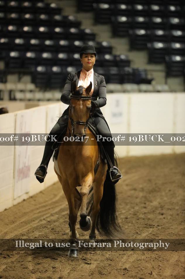 Proof 19BUCK_00217