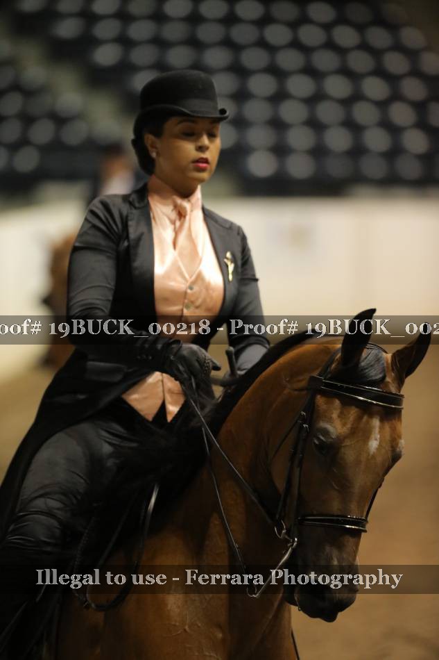 Proof 19BUCK_00218
