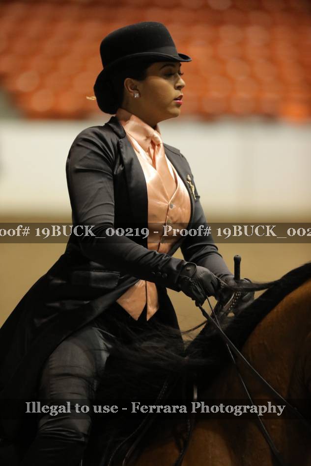 Proof 19BUCK_00219