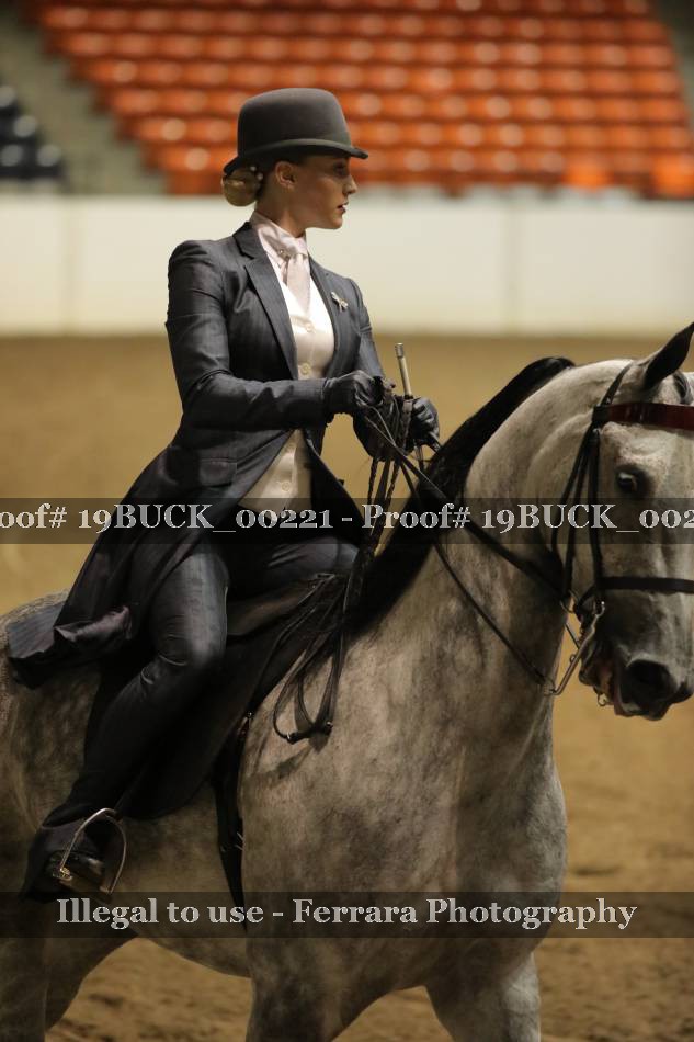 Proof 19BUCK_00221
