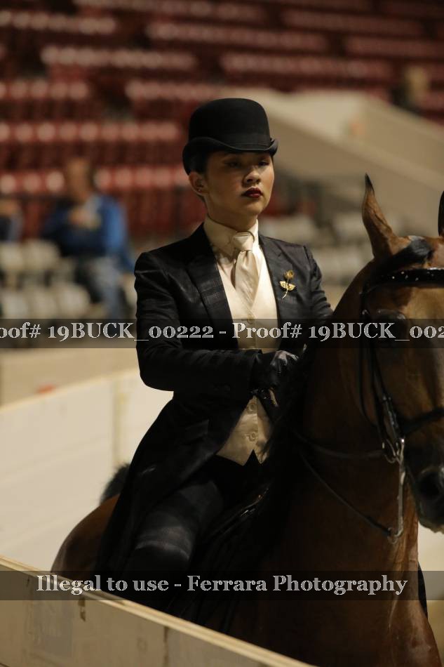 Proof 19BUCK_00222