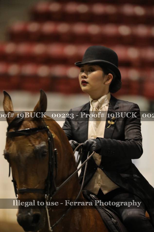 Proof 19BUCK_00223