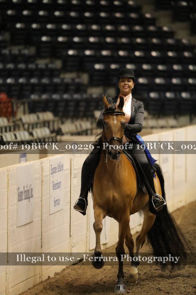 Proof 19BUCK_00226