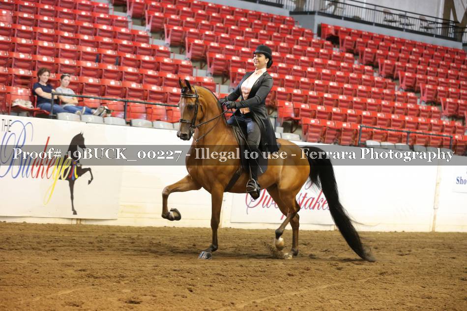 Proof 19BUCK_00227