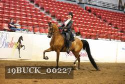 19BUCK_00227 proof