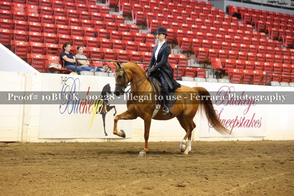 Proof 19BUCK_00228
