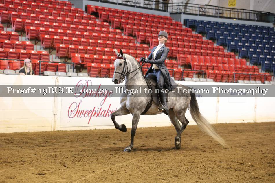 Proof 19BUCK_00229