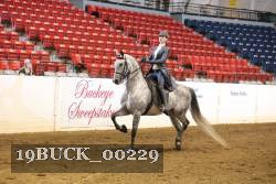 19BUCK_00229 proof