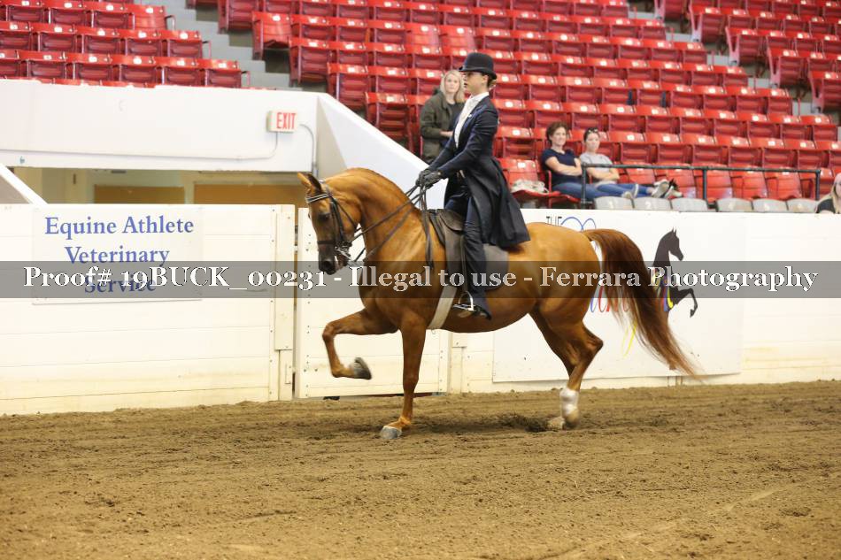 Proof 19BUCK_00231