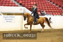 19BUCK_00231 proof