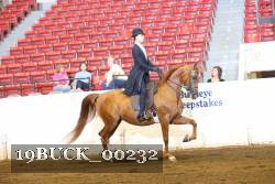 19BUCK_00232 proof
