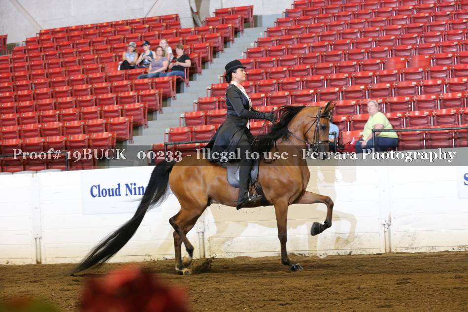 Proof 19BUCK_00233