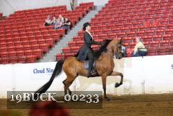19BUCK_00233 proof