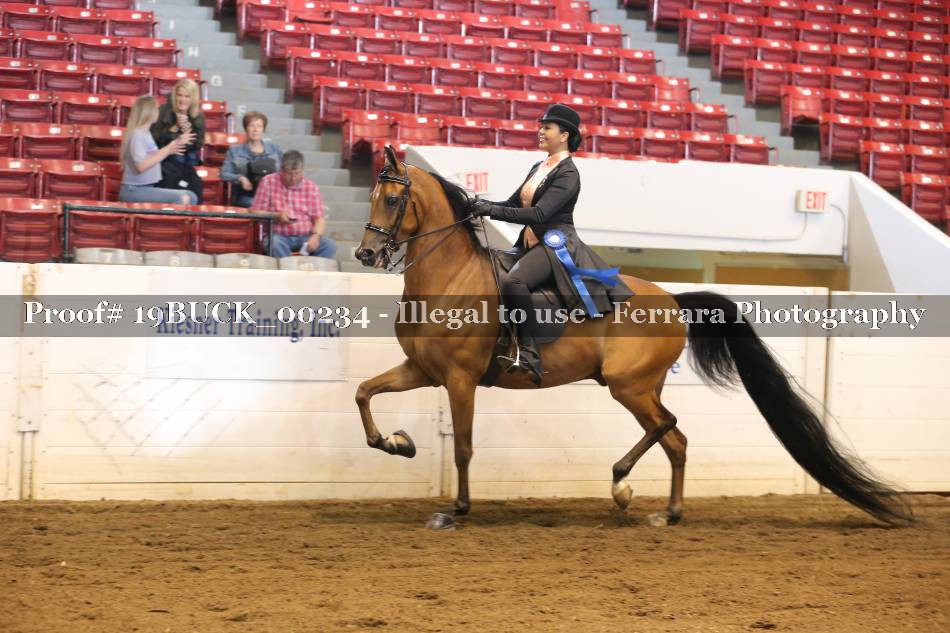 Proof 19BUCK_00234