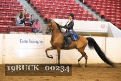 19BUCK_00234 proof