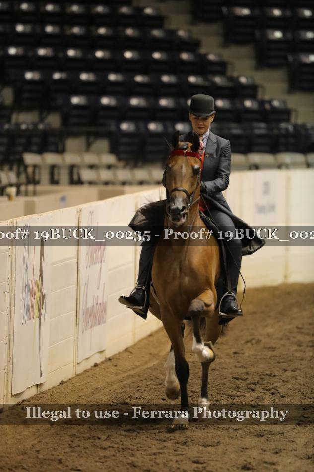 Proof 19BUCK_00235