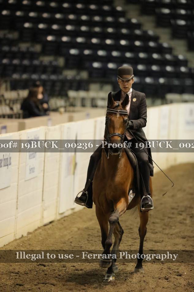 Proof 19BUCK_00236