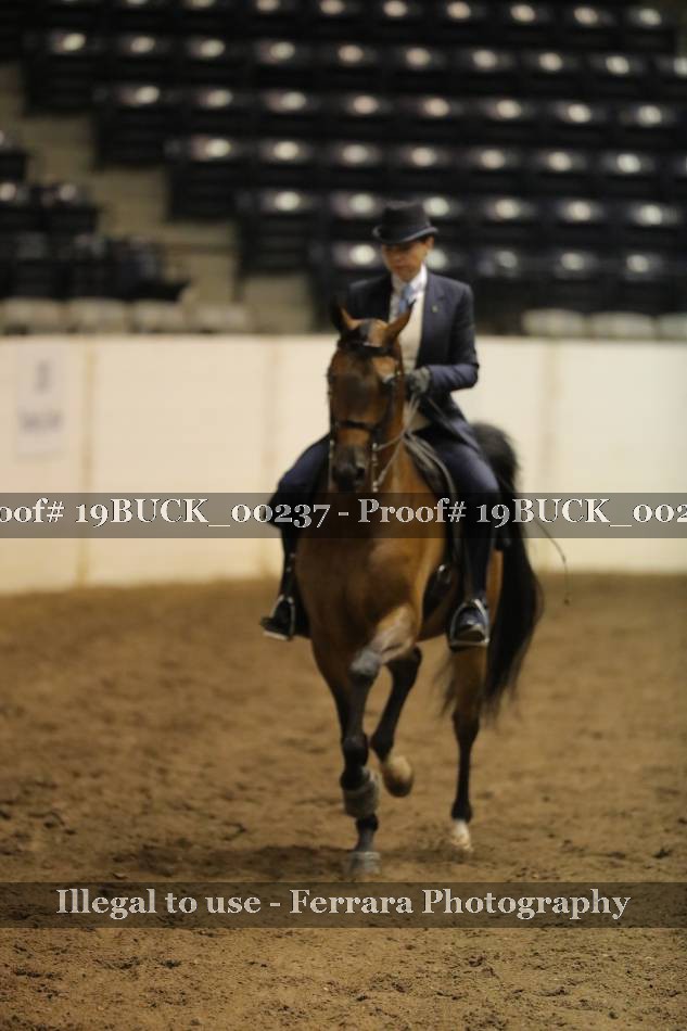 Proof 19BUCK_00237